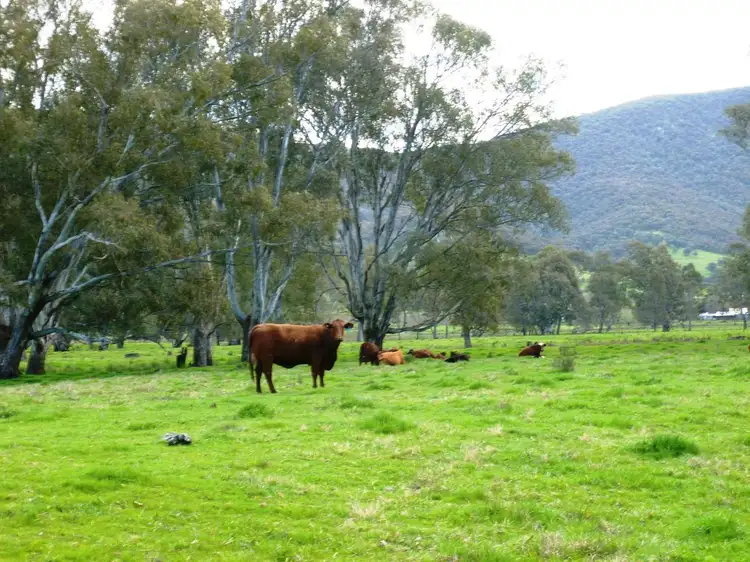 Third view of Homely rural property listing, 1705 Kiewa Valley Highway, Kiewa VIC 3691