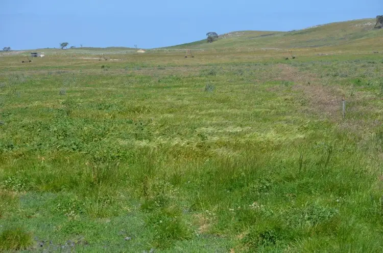 Seventh view of Homely rural property listing, 277 Black Drain Road, Millicent SA 5280