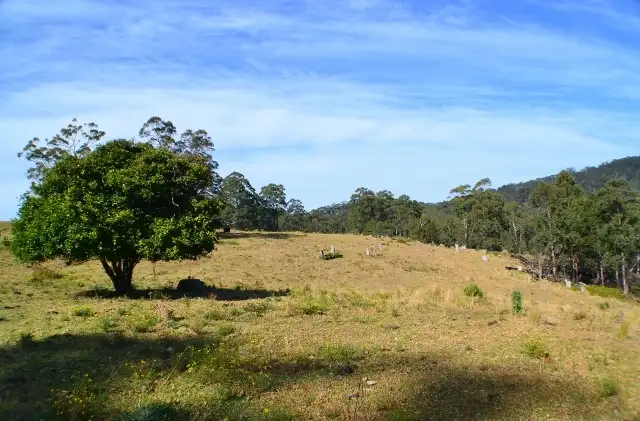 Third view of Homely rural property listing, Lot 145 Costigans Road, Yarras NSW 2446