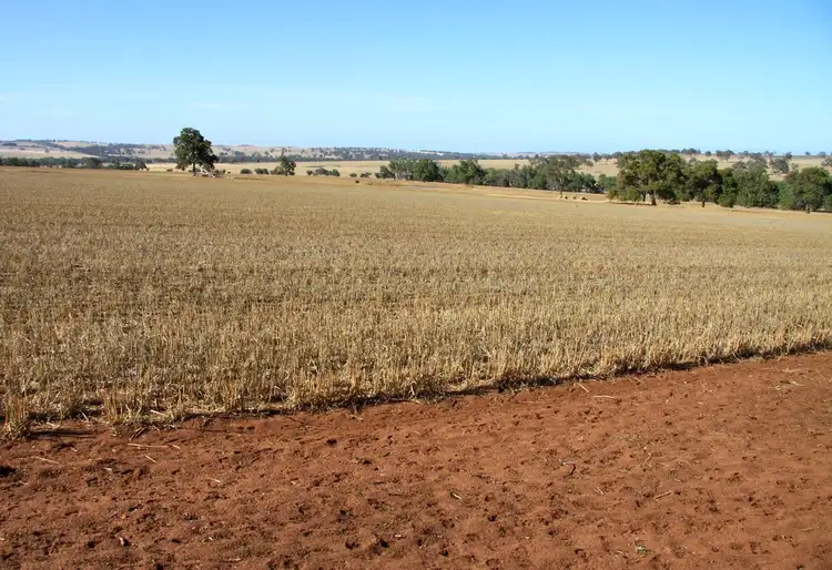 Fifth view of Homely rural property listing, . ''Yathroo'', Dandaragan WA 6507