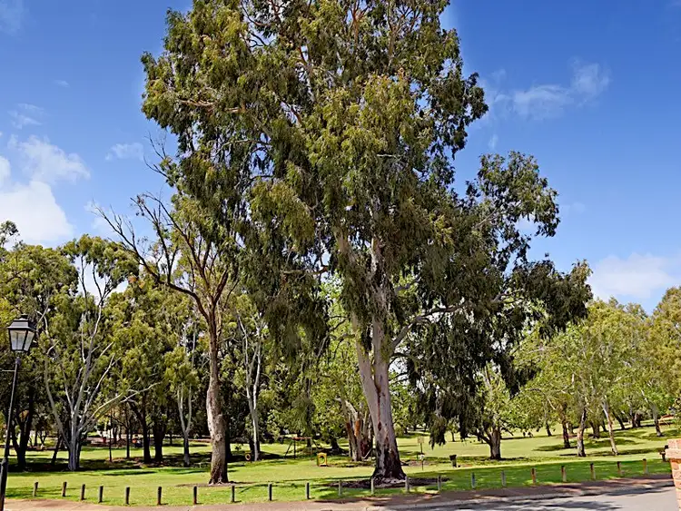 Fourth view of Homely house listing, 41 Woolnough Street, Daglish WA 6008