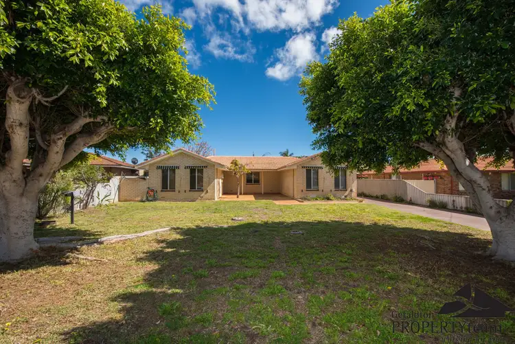 19 Robinson Street, Spalding WA 6530
