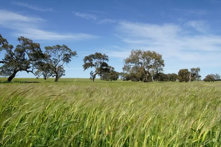 Main view of Homely rural property listing, 2409 Mortlake-Ararat Road, Woorndoo VIC 3272