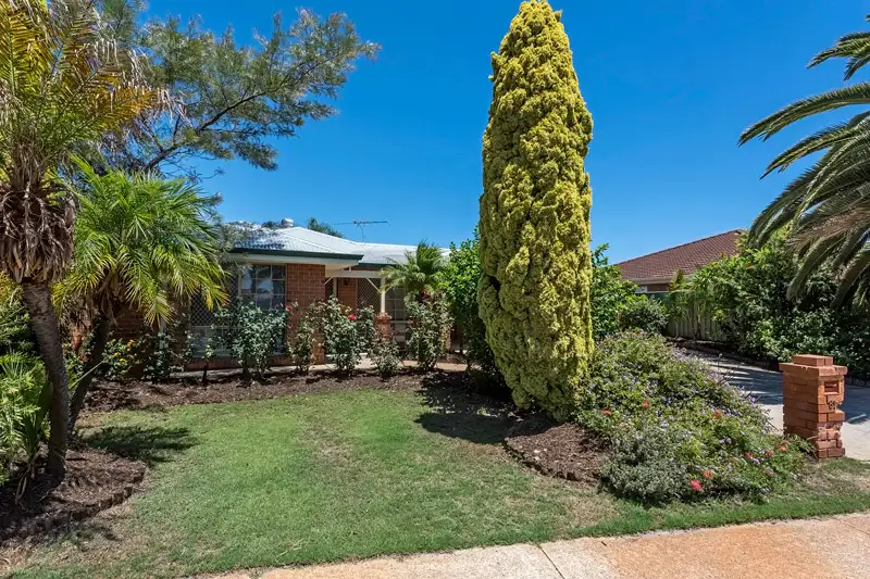 Main view of Homely house listing, 81 Bottlebrush Drive, Kiara WA 6054