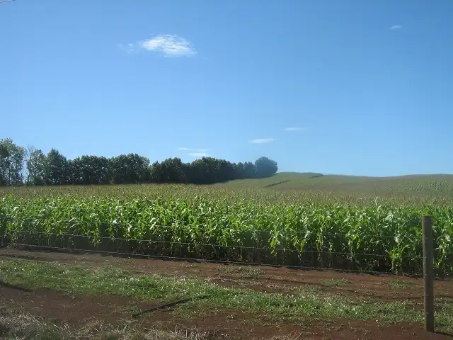 Seventh view of Homely rural property listing, - Oppenheims Road, Moriarty TAS 7307