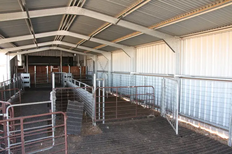 Second view of Homely rural property listing, Secs 18 & 19 Hd of Mindarie & Sec 158 Hd of Allen, Wanbi SA 5310
