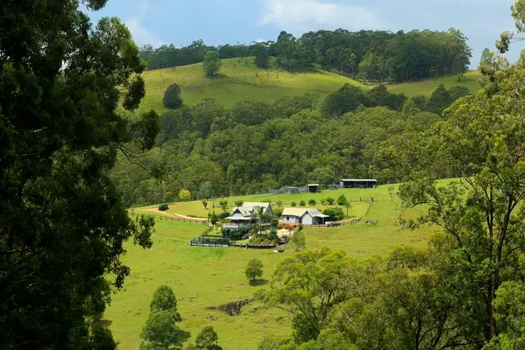Second view of Homely rural property listing, 245 Farrells Rd, Stroud NSW 2425