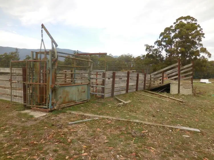 Sixth view of Homely rural property listing, 349 TEN MILE TRACK, Springfield TAS 7260