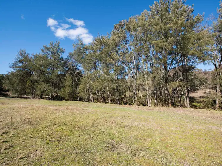 Fifth view of Homely rural property listing, 497-521 Riverlea Road, Mudgee NSW 2850