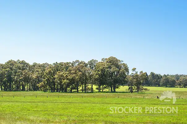 Fifth view of Homely rural property listing, 1580 Rosa Brook Road, Rosa Brook, Margaret River WA 6285
