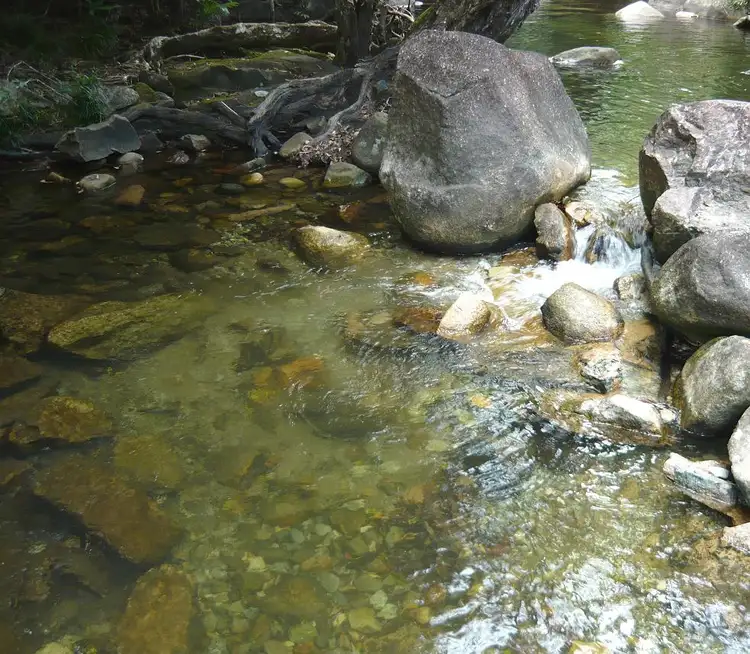 Fourth view of Homely house listing, 191 Stonewood Road DIWAN, Forest Creek QLD 4873