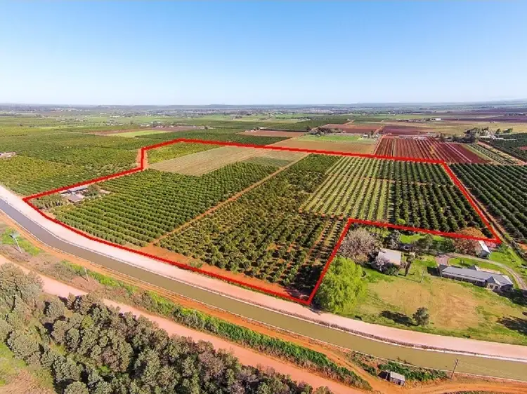 Farms 1855 &1856 Scott Road, Griffith NSW 2680