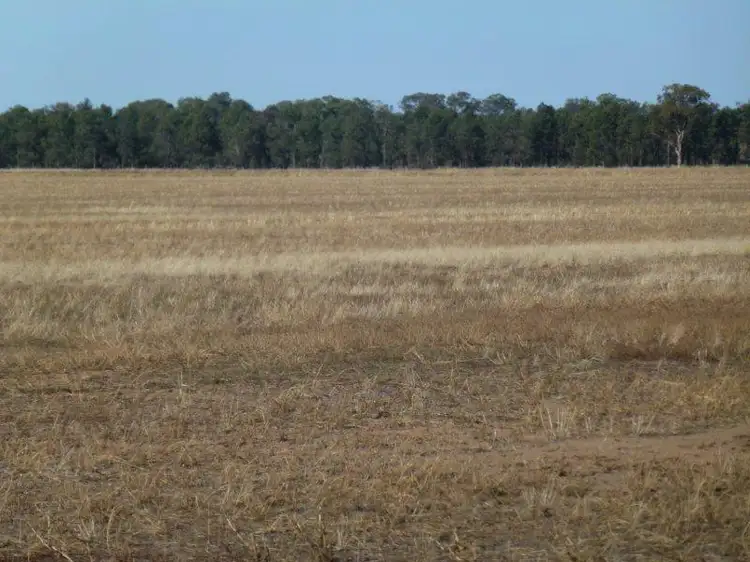 Second view of Homely rural property listing, KAKADU FOREST BLOCK, Jerilderie NSW 2716
