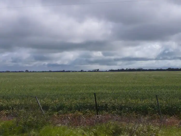 Second view of Homely rural property listing, Brina North Road, Willenabrina via, Warracknabeal VIC 3393