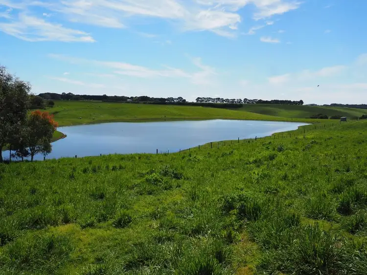 Third view of Homely rural property listing, 642 Murndal Road, Morgiana via, Hamilton VIC 3300