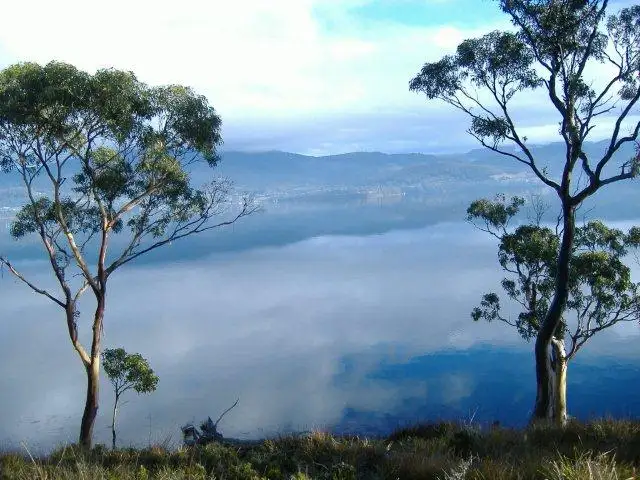 Third view of Homely land listing, 30 Youngs Road, Bruny Island TAS 7150