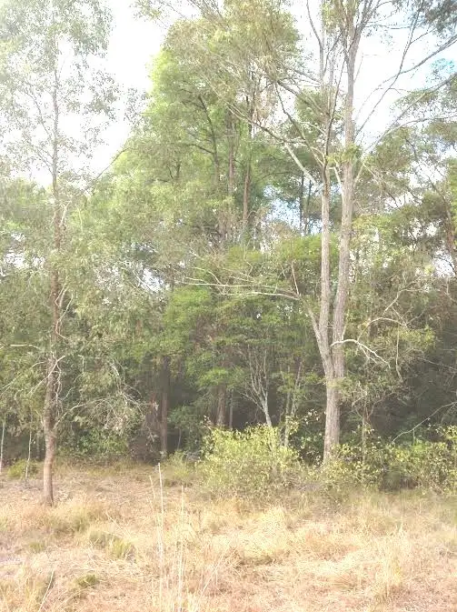 Fifth view of Homely land listing, Lot 2 Hose Rd, East Deep Creek QLD 4570