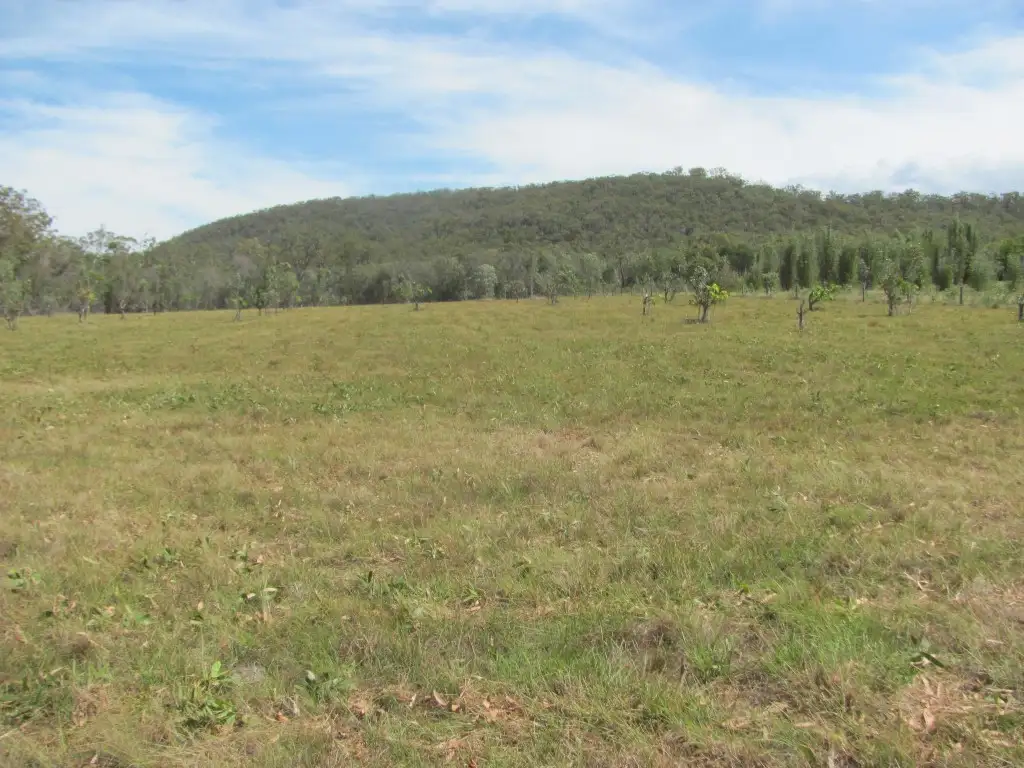 Main view of Homely rural property listing, 391 Matchbox Road, Deepwater QLD 4674