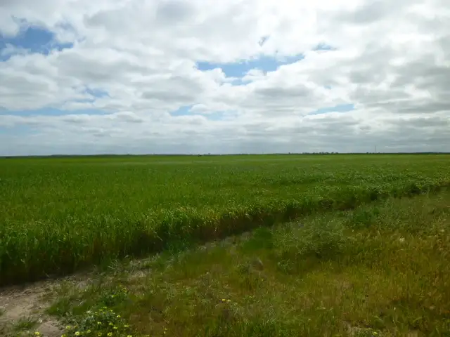 Sixth view of Homely rural property listing, 156 Irbrae Road, Cooke Plains SA 5261
