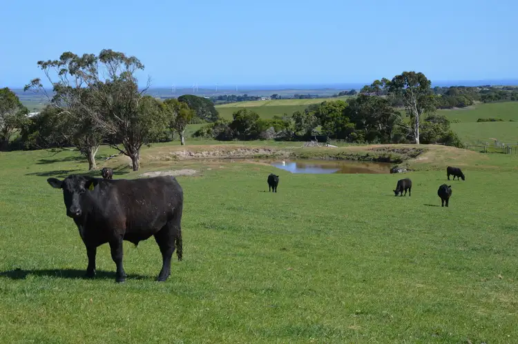 Third view of Homely rural property listing, 742 DALYSTON-GLEN FORBES ROAD, Archies Creek VIC 3995