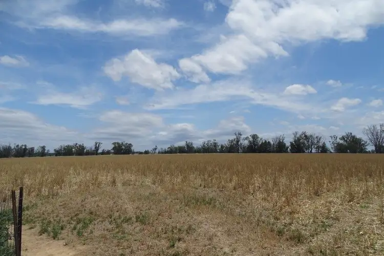Seventh view of Homely rural property listing, Lot 1 SP224909 Greenup Road, Oman Ama QLD 4352