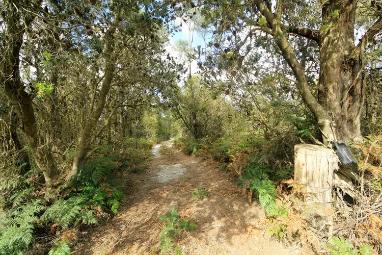 Third view of Homely land listing, 1132 North Ansons Road, Ansons Bay TAS 7264