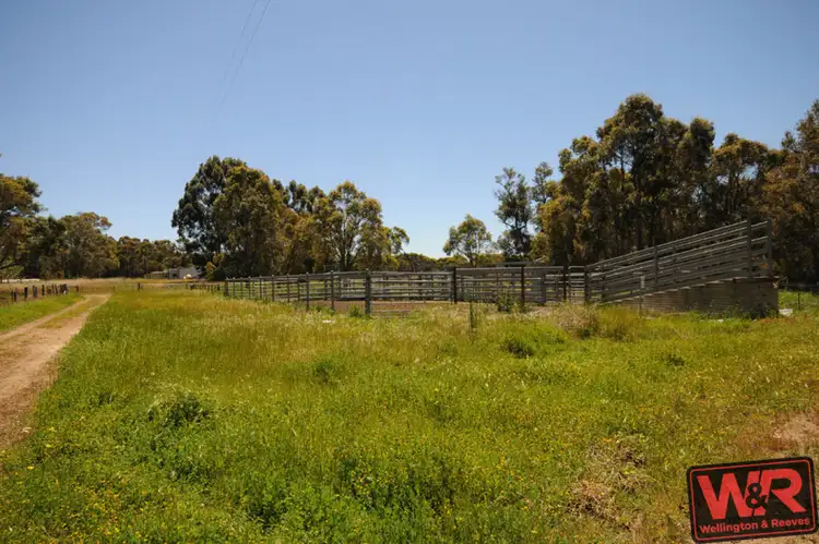 Sixth view of Homely rural property listing, 5259 Waterman Road, Mount Barker WA 6324