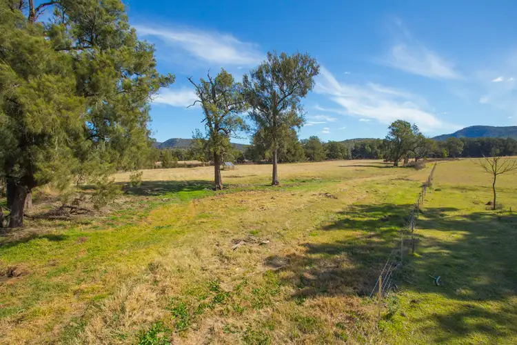 Sixth view of Homely rural property listing, 77 THOMPSONS RD, Milbrodale NSW 2330
