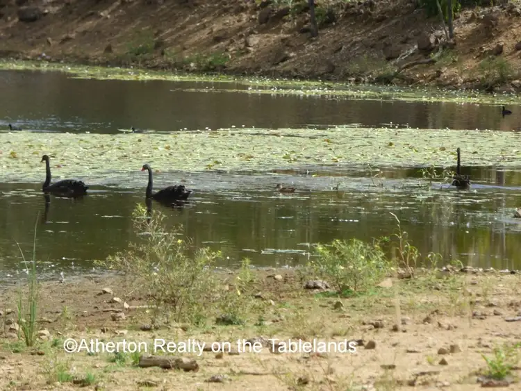 Fourth view of Homely rural property listing, Address available on request