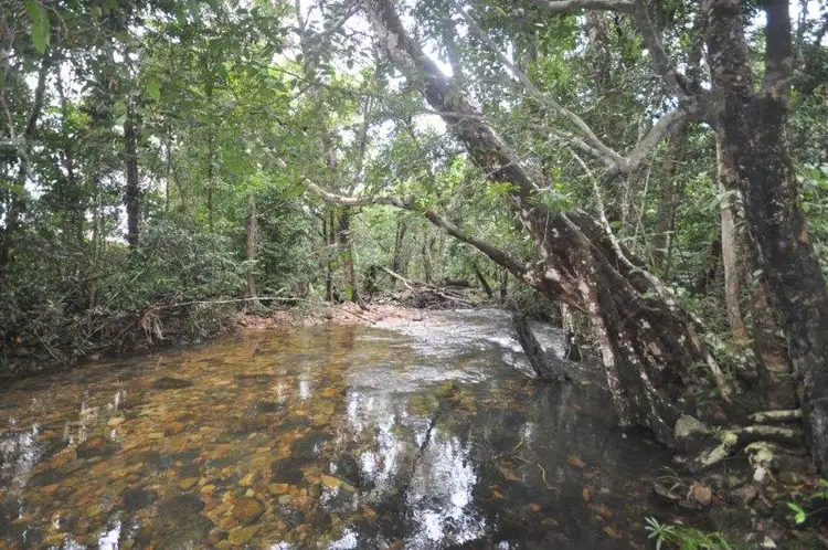 Seventh view of Homely house listing, 310 Mount Gardiner Road, Bemerside QLD 4850