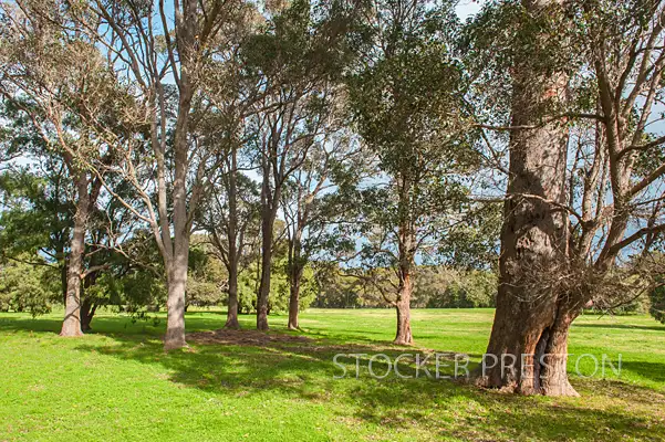 Second view of Homely rural property listing, 50 Coostien Road, Scott River WA 6288