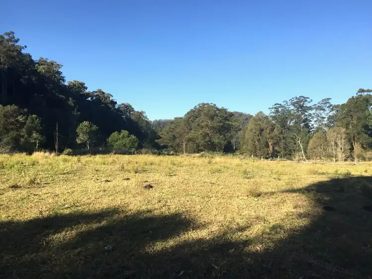 Fifth view of Homely rural property listing, 397 Lindsay Road, Larnook NSW 2480