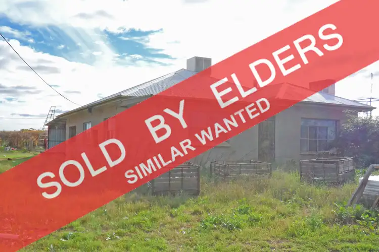 305 Old Cooltong Road, Renmark SA 5341