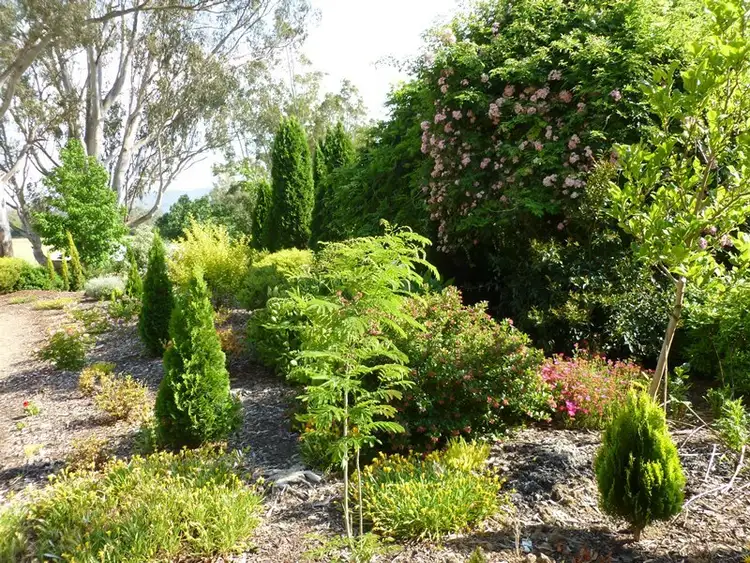 Sixth view of Homely rural property listing, 259(Lot 1) CLEMENS LANE, Myrtleford VIC 3737