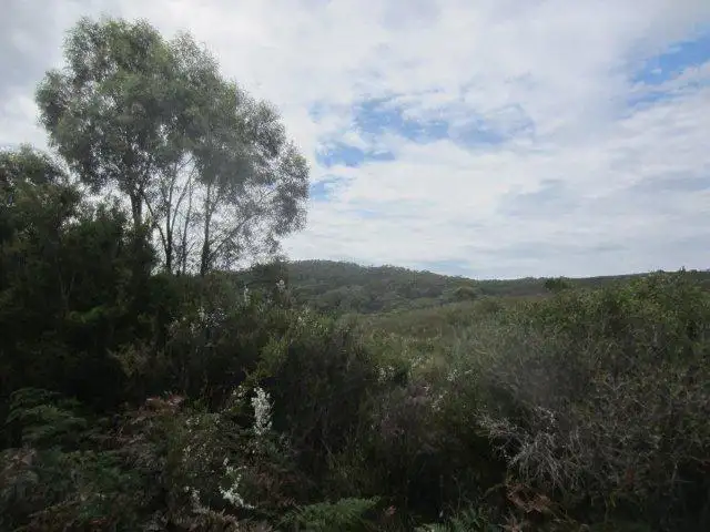 Sixth view of Homely land listing, 0 Henty Road, Zeehan TAS 7469