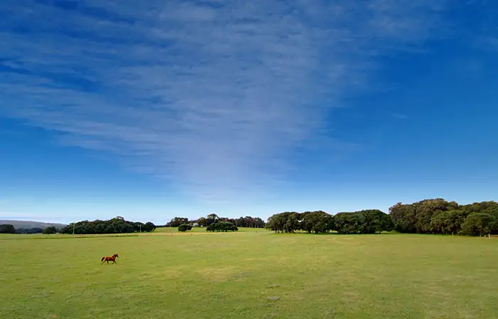 Fifth view of Homely land listing, 215/744 Burnside Park, Margaret River WA 6285