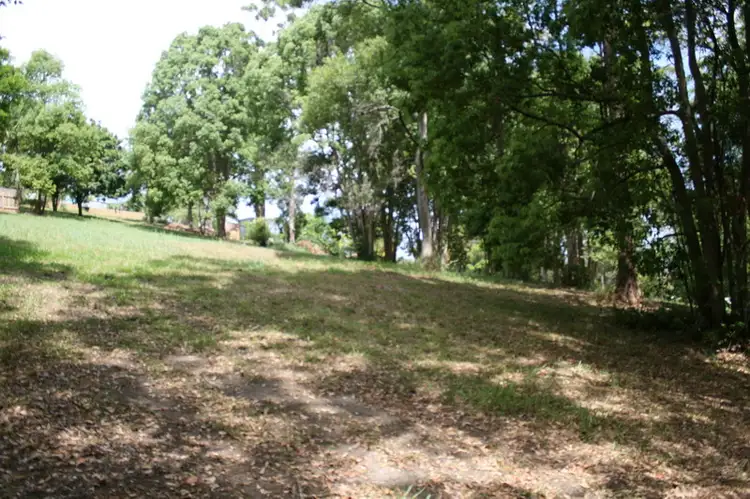 Main view of Homely land listing, LOT 85, 86, 87 Dog Track Rd, Kendall NSW 2439