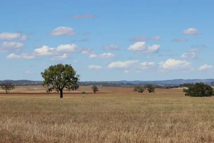 Cnr Old Dubbo and Warrie Road, Dubbo NSW 2830