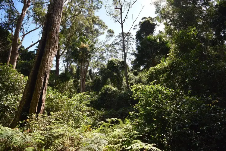 Seventh view of Homely land listing, Lot 13 Suffolk Road, Tomerong NSW 2540