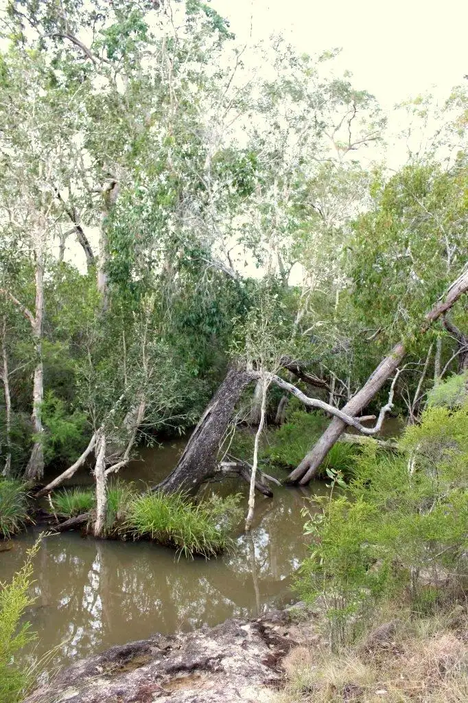 Sixth view of Homely land listing, Lot 140 Murphy Road, Captain Creek QLD 4677