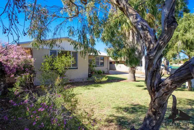 Third view of Homely house listing, 12 Craig Court, Spalding WA 6530