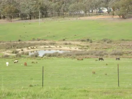 Seventh view of Homely rural property listing, 699 Taylors Flat Road, Boorowa NSW 2586