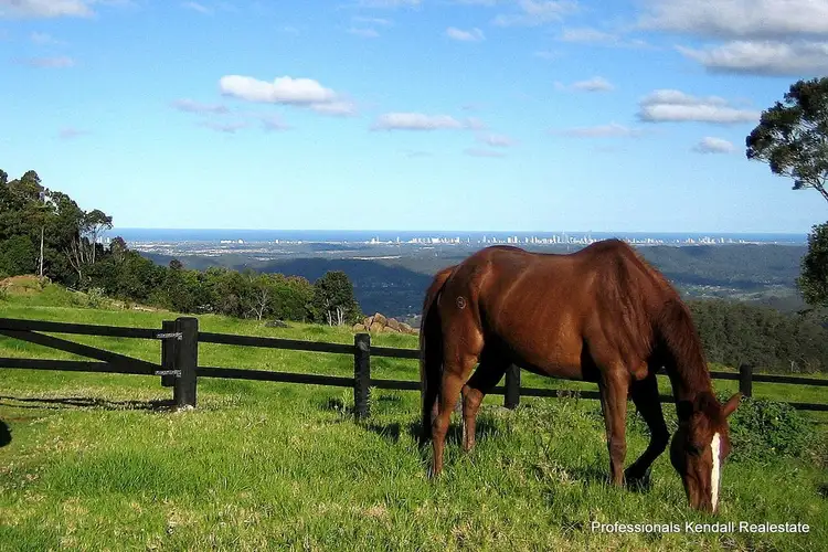 Second view of Homely house listing, Lot 8 - 163 Curtis Road, Tamborine Mountain QLD 4272