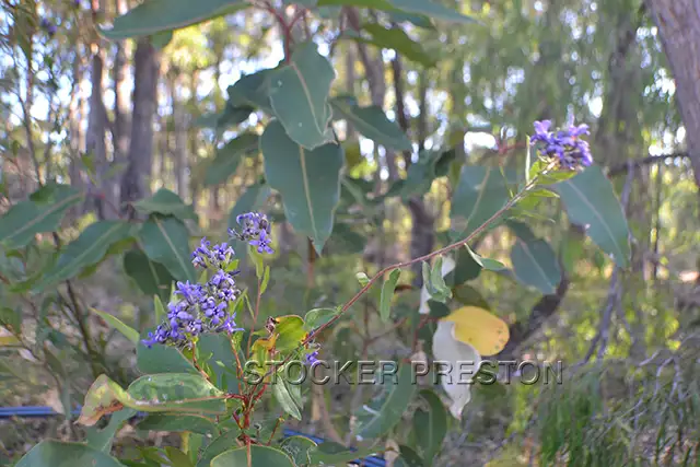Sixth view of Homely land listing, 3 Timber Court, Cowaramup WA 6284