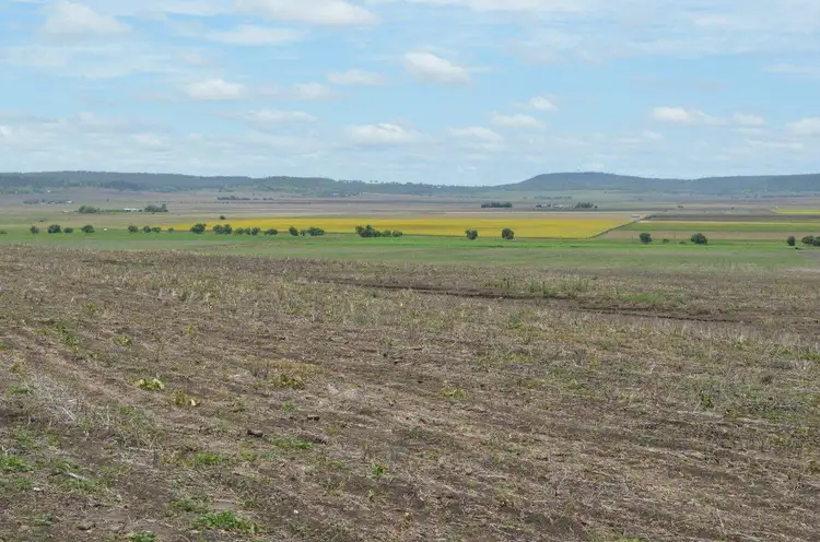 Main view of Homely rural property listing, 1859 Pittsworth-Felton Road, Felton QLD 4358