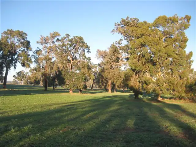 Main view of Homely rural property listing, 200 Maddern Rd, Chittering WA 6084