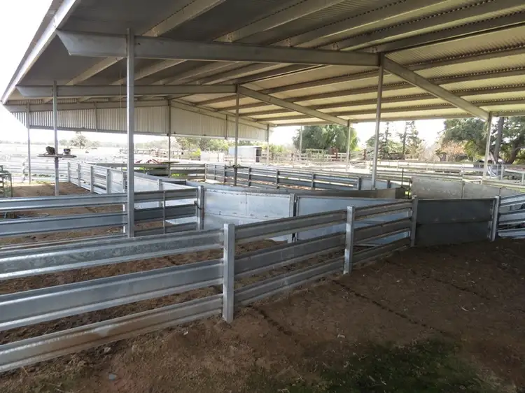 Third view of Homely rural property listing, WIDGEE Wakool Road, Deniliquin NSW 2710