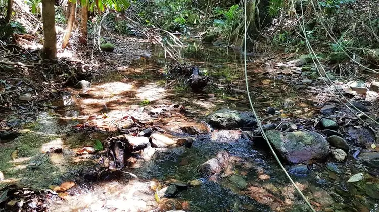 Sixth view of Homely land listing, Lot 514 Silver Ash Road, Daintree QLD 4873