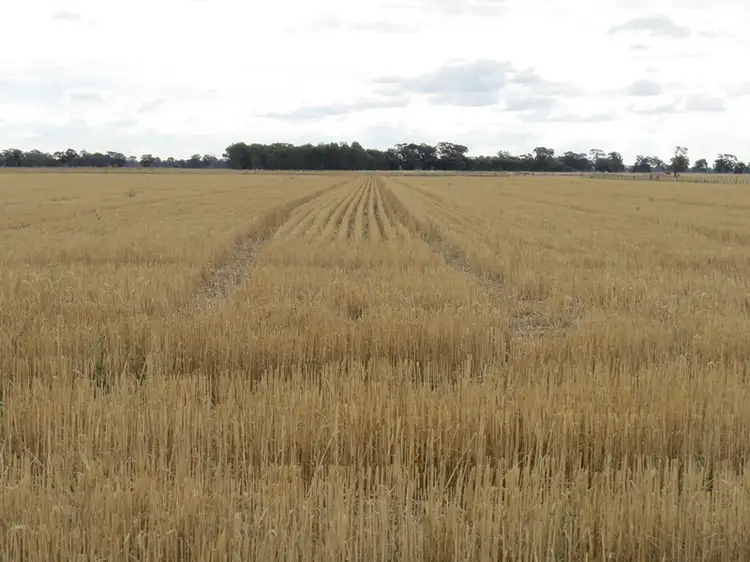 Fifth view of Homely rural property listing, 178 Bull Plain Road, Mulwala NSW 2647