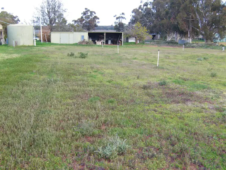 Third view of Homely rural property listing, 117 Happy Valley Landing Road, Robinvale VIC 3549